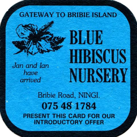 ningi qld-aus blue hibiscus 1a (quad190-gateway to-schwarzblau)